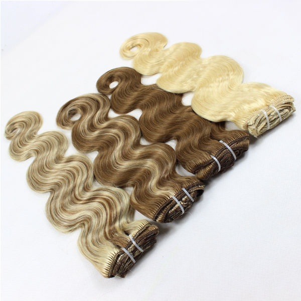 Clip in hair dirty blonde hair extensions  LJ21